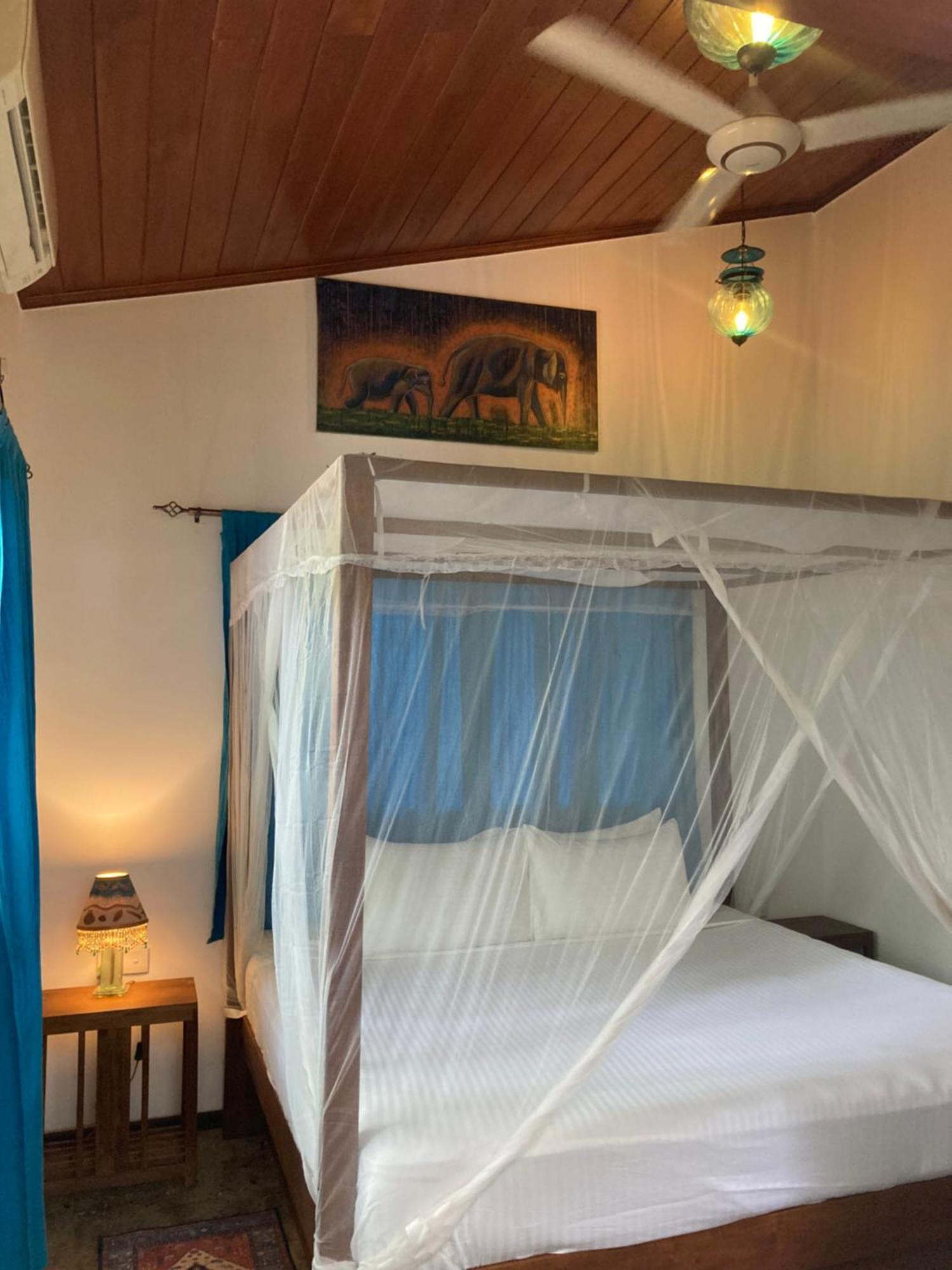 Amba Kola Udawalawa Otel Udawalawe Dış mekan fotoğraf