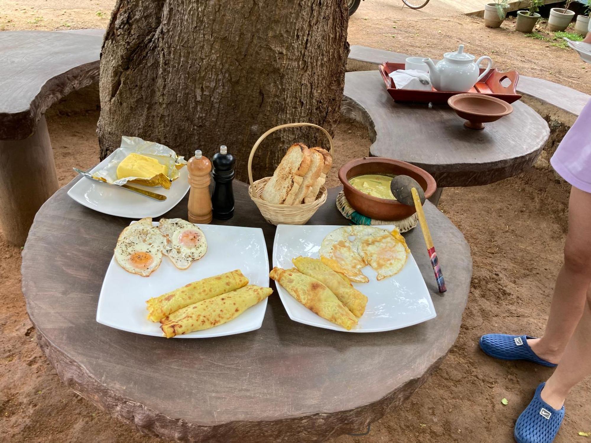 Amba Kola Udawalawa Otel Udawalawe Dış mekan fotoğraf